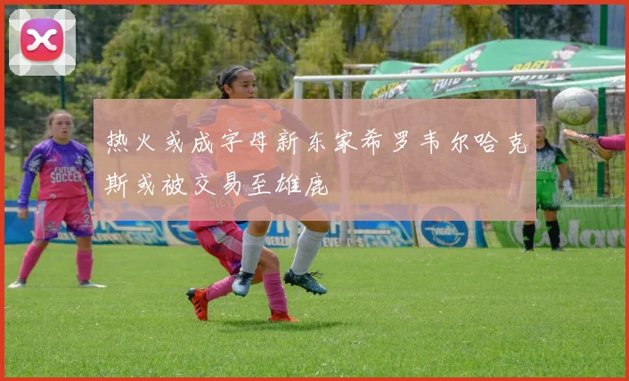 热火或成字母新东家希罗韦尔哈克斯或被交易至雄鹿