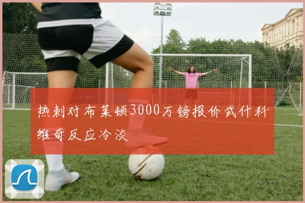 热刺对布莱顿3000万镑报价武什科维奇反应冷淡