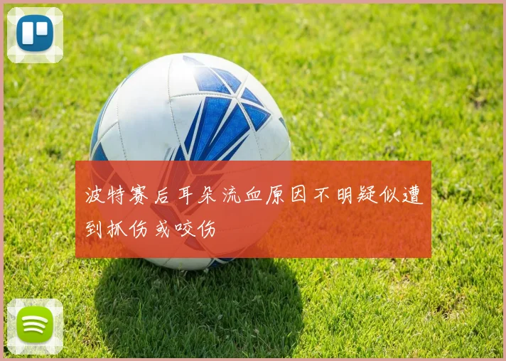 波特赛后耳朵流血原因不明疑似遭到抓伤或咬伤