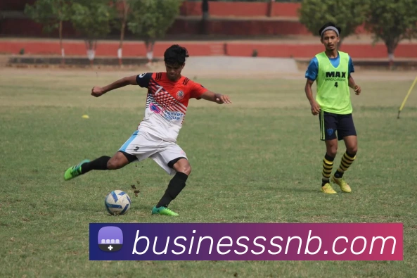 半岛在线网页版入口全站App